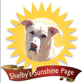 Shelby's Sunshine Page