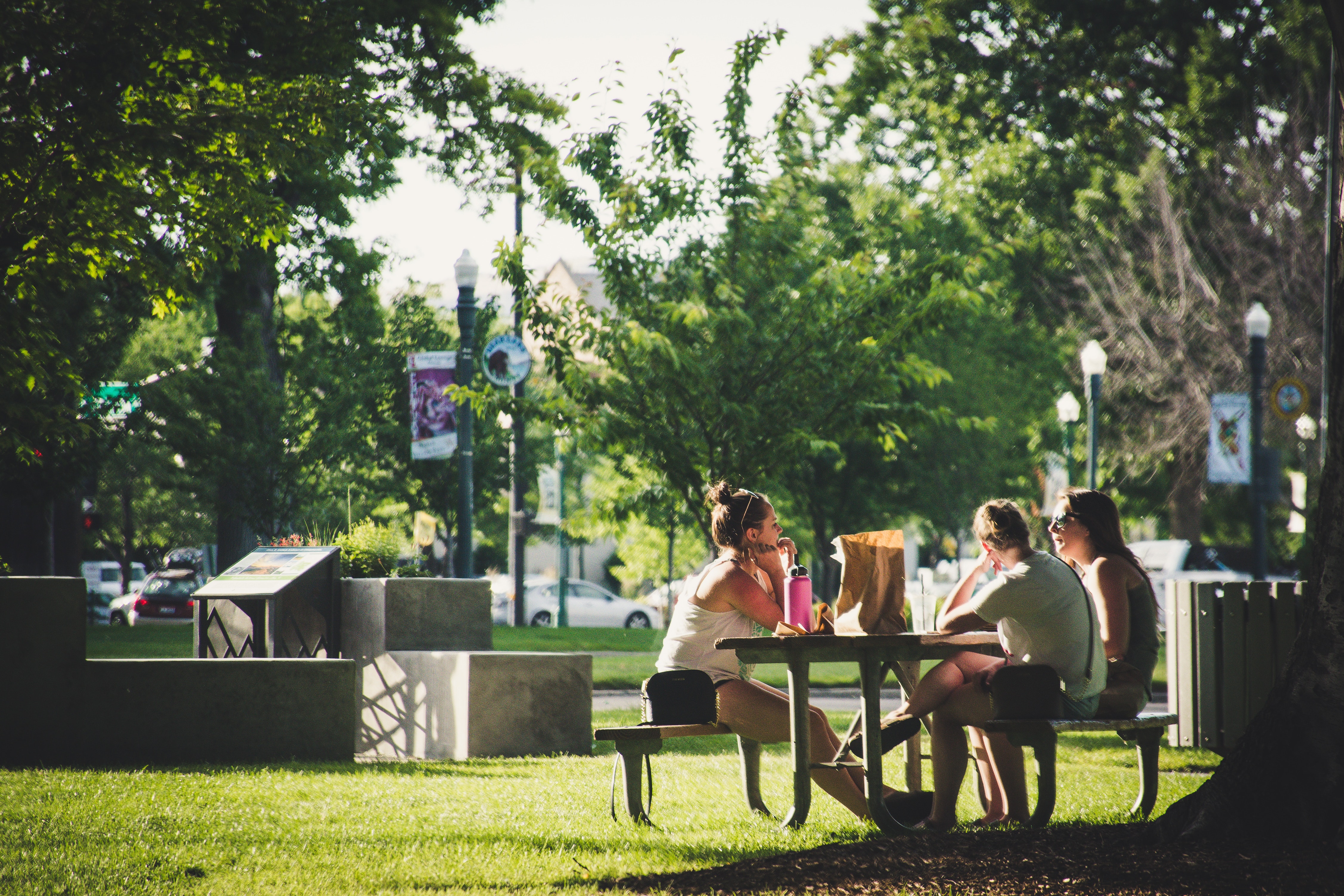 friends-grass-group-1141436